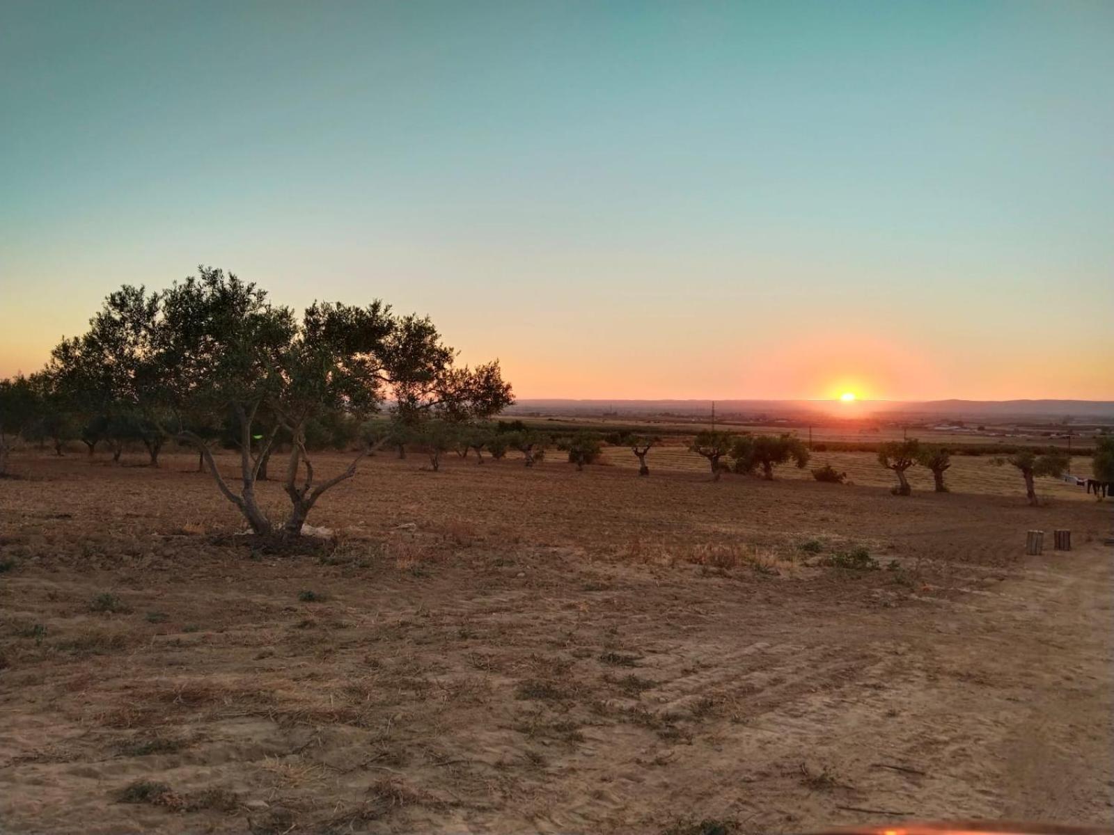 Casa Rural Cerro Campon Carmona Kültér fotó