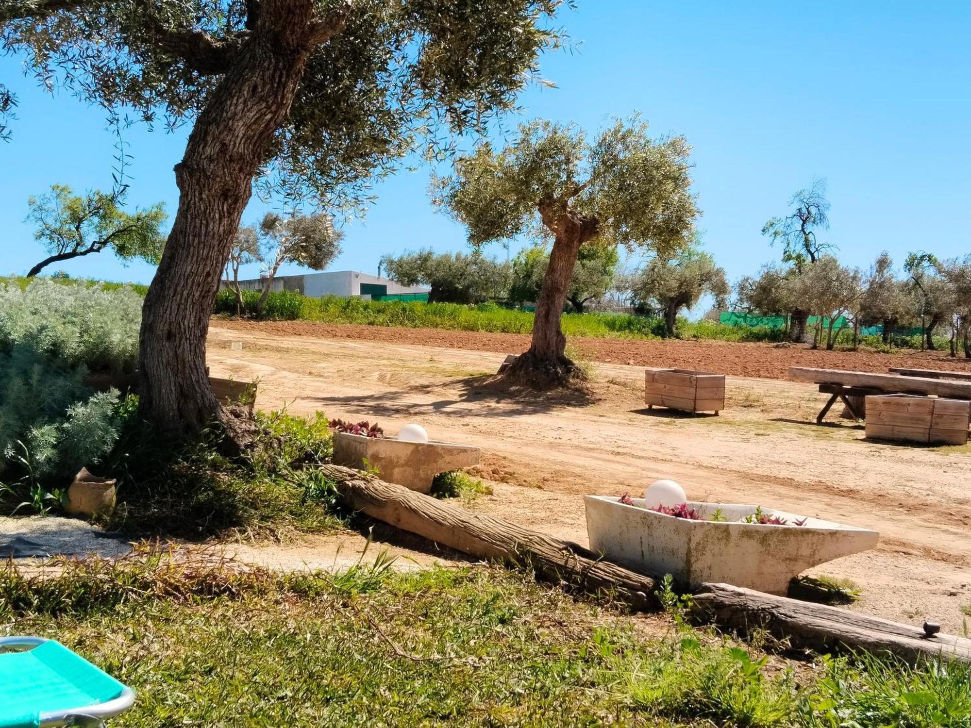 Casa Rural Cerro Campon Carmona Kültér fotó